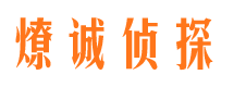 宝山区商务调查